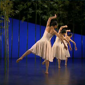 Bamboo Dream (Cloud Gate Dance Theatre, Lin Hwai-Min, 2002).