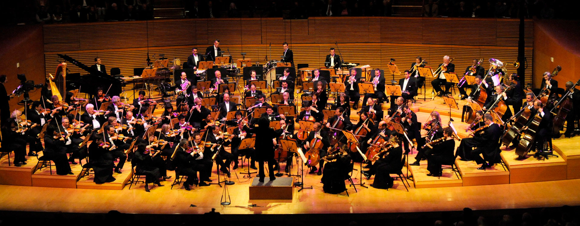 Celebración. Season Opening Gala 2010 / 2011